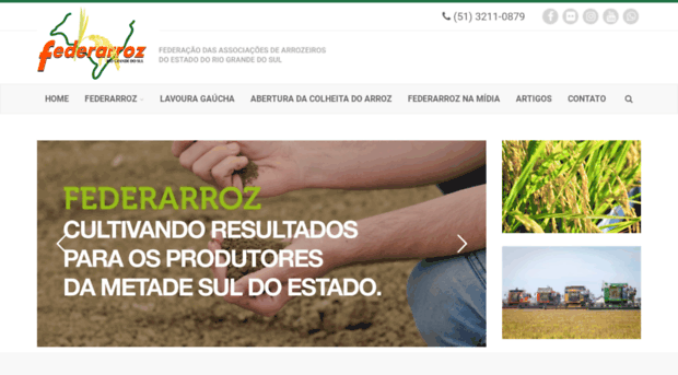 federarroz.com.br