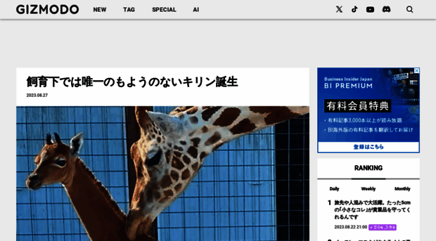 feeds.gizmodo.jp
