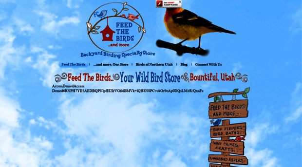 feedthebirdsandmore.com