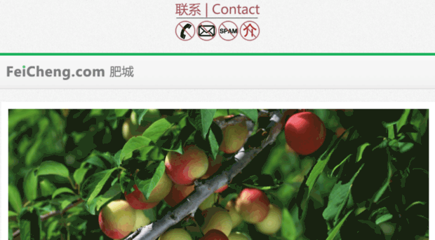 feicheng.com