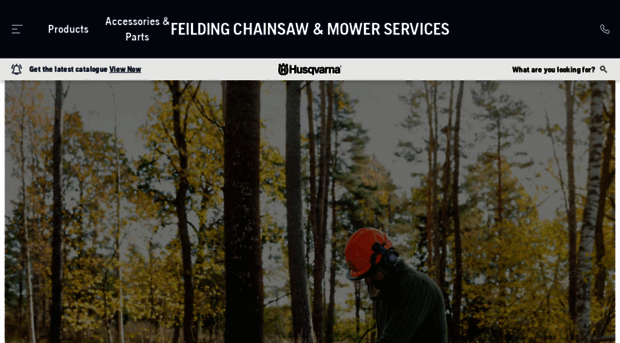 feildingchainsaws.co.nz