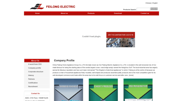 feilongelectric.com