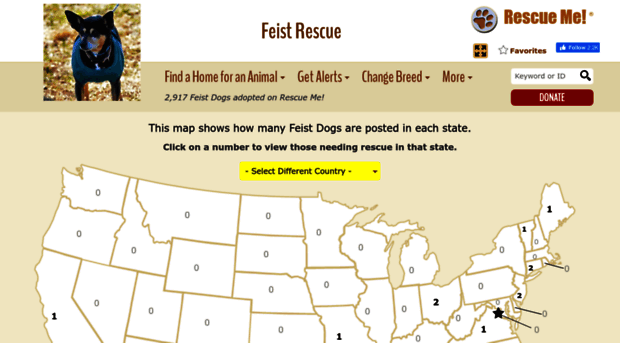 feist.rescueme.org