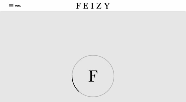 feizy.com