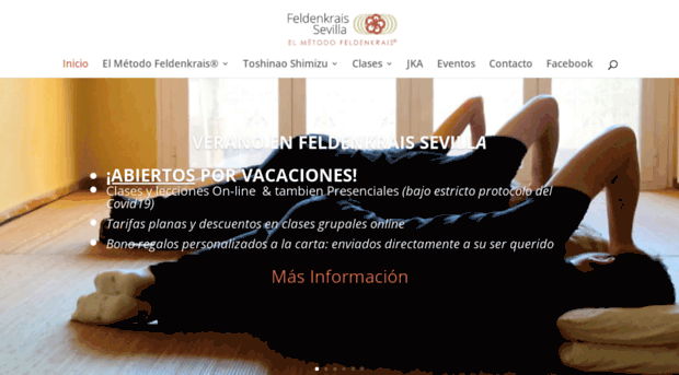 feldenkraissevilla.es