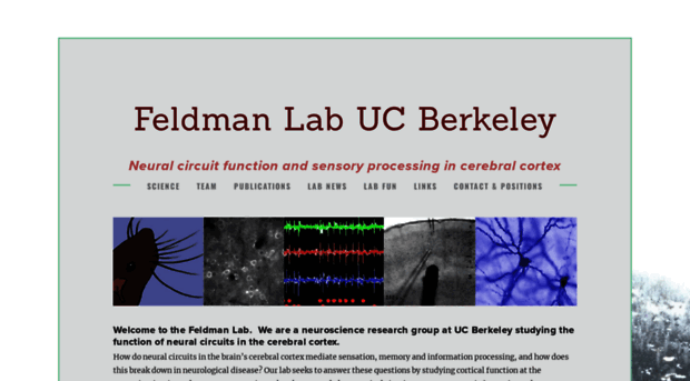 feldmanlab.org