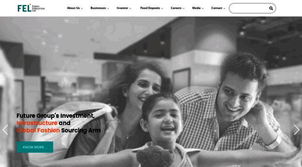 felindia.in
