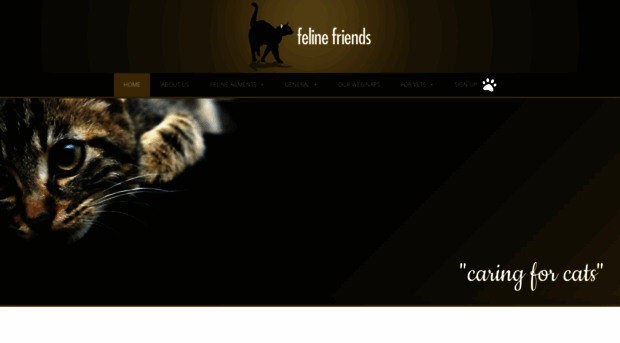 feline-friends.org.uk