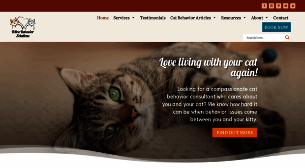 felinebehaviorsolutions.com