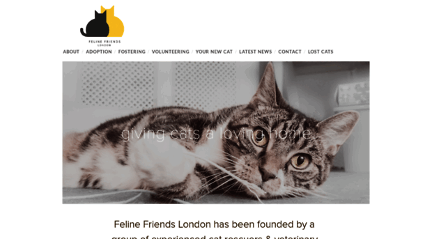 felinefriendslondon.uk