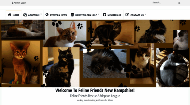 felinefriendsnh.com