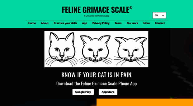 felinegrimacescale.com