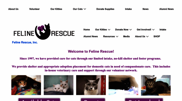 felinerescue.org