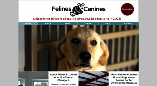 felinescanines.org