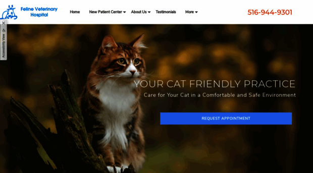 felineveterinaryhospital.com