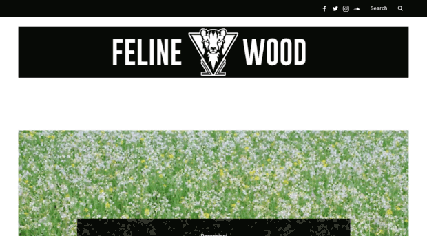 felinewood.it