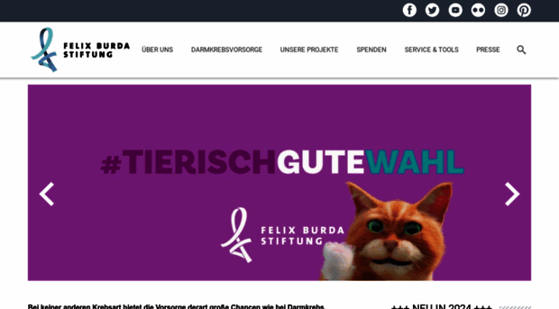 felix-burda-stiftung.de