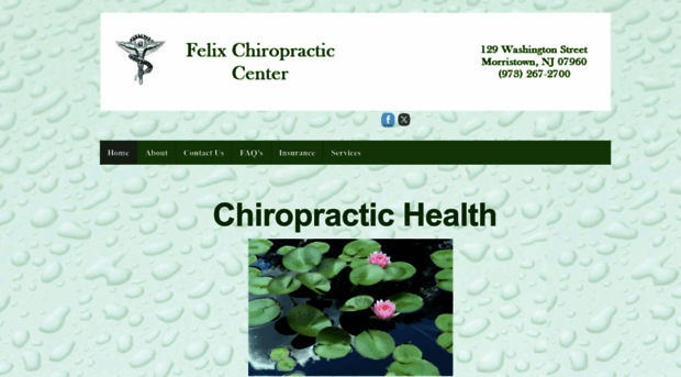 felixchiropracticcenter.com