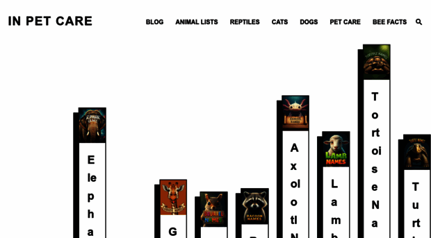 felizpets.com