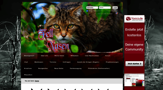 fell-nasen.yooco.de