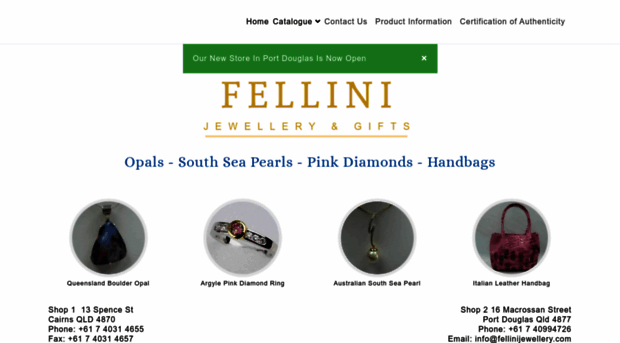 fellinijewellery.com