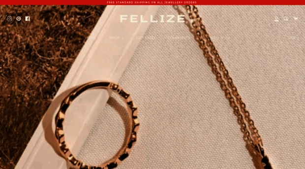 fellize.com
