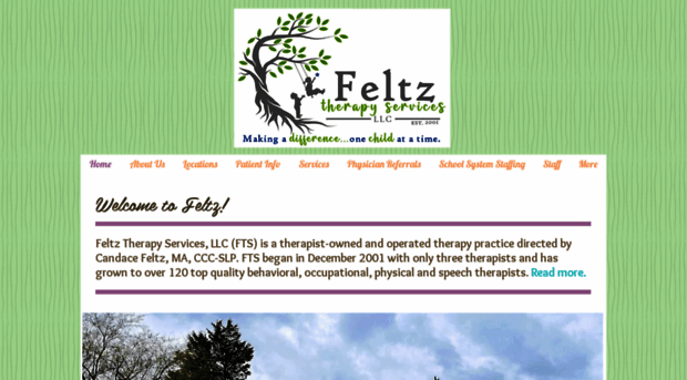 feltztherapy.com