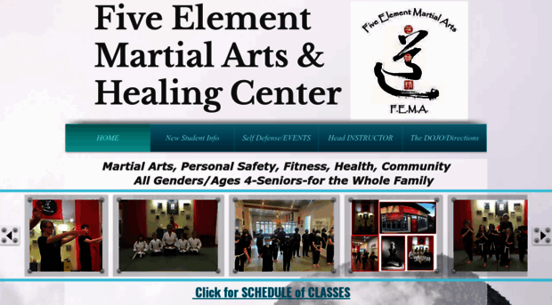 femamartialarts.org