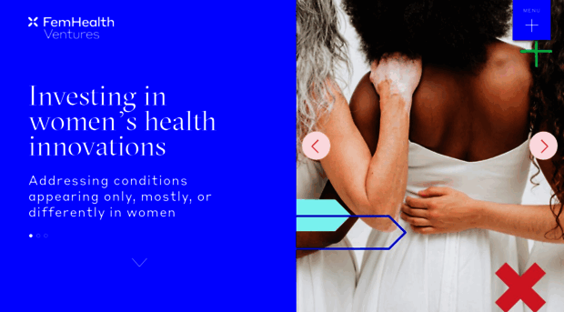 femhealthventures.com