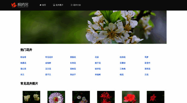 fengqiaoju.com