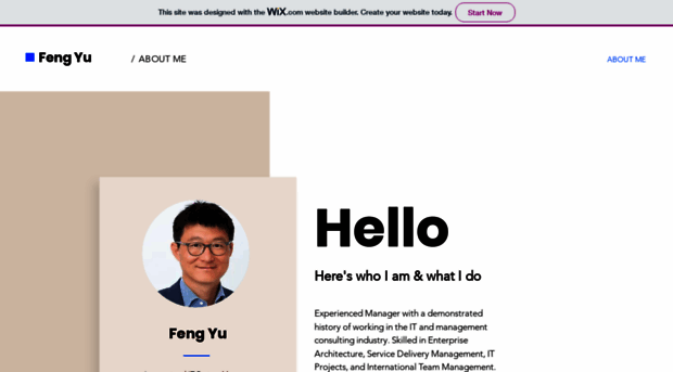 fengyu.de