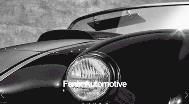 fenixgarage.com