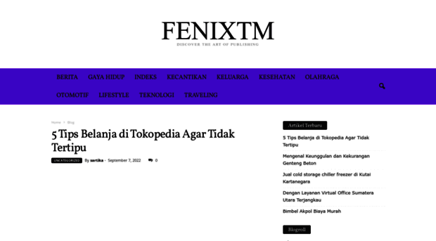 fenixtm.net