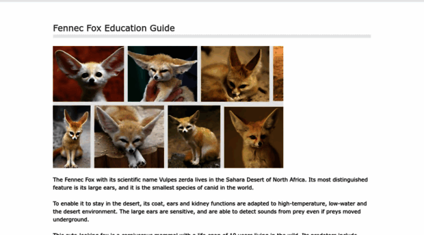 fennecfox-edu.weebly.com