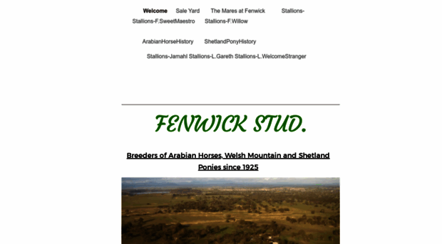 fenwickstud.com.au