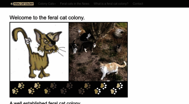 feralcatcolony.com