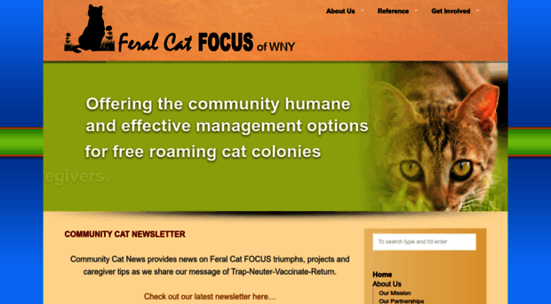 feralcatfocus.org