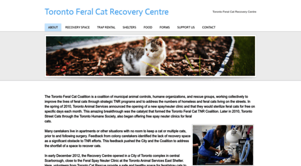 feralcatrecoverycentre.com