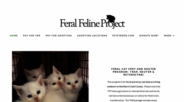 feralfelineproject.org