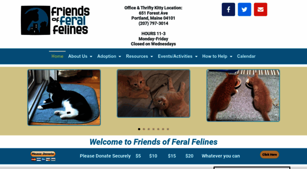 feralfelines.net