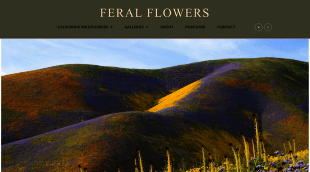 feralflowers.com