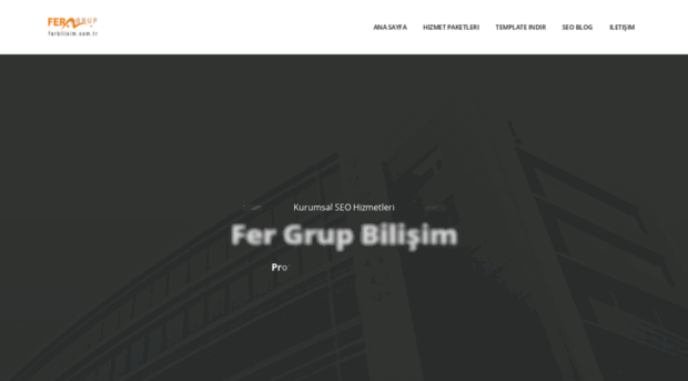 ferbilisim.com.tr