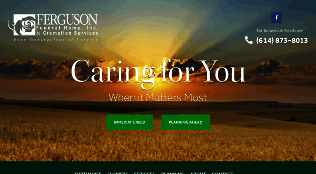 fergusonfuneralhomeinc.com