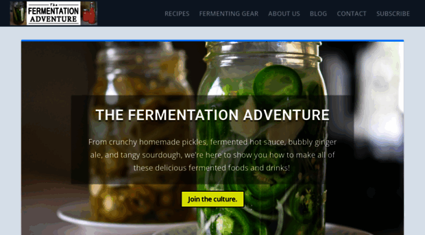 fermentationadventure.com