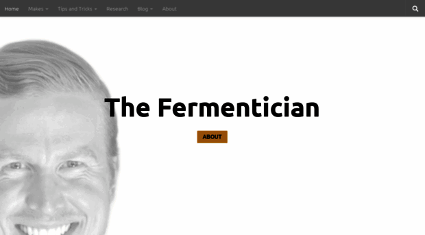 fermentician.com
