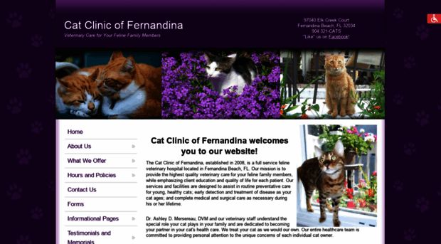 fernandinacats.com