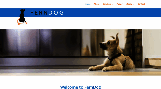 ferndogtraining.com