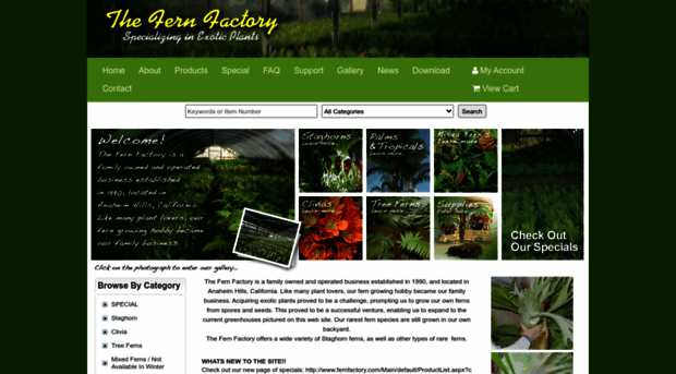 fernfactory.com