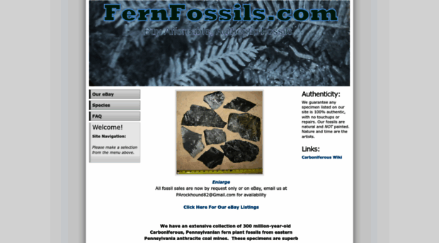 fernfossils.com