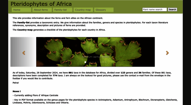 fernsofafrica.com